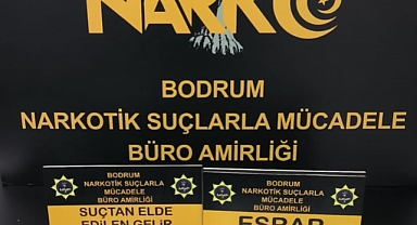 Muğla'da uyuşturucu operasyonunda yakalanan 12 zanlı tutuklandı
