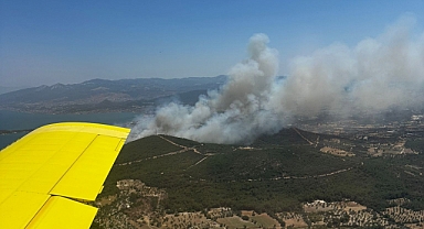 Urla yangınıyla ilgili 1 kişi tutuklandı