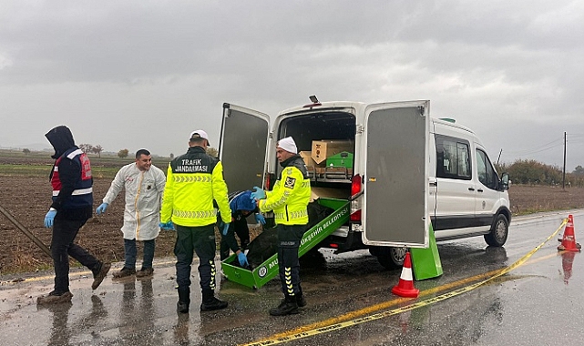 Muğla'da yol kenarında erkek cesedi bulundu