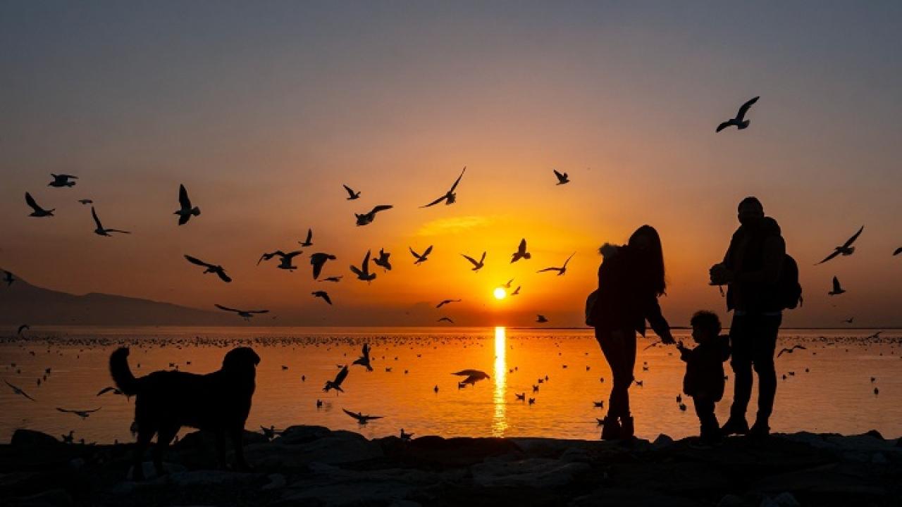 Kardeş Şehirler Objektifte Buluşuyor