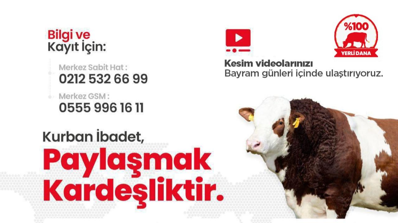 Otomatik Taslak