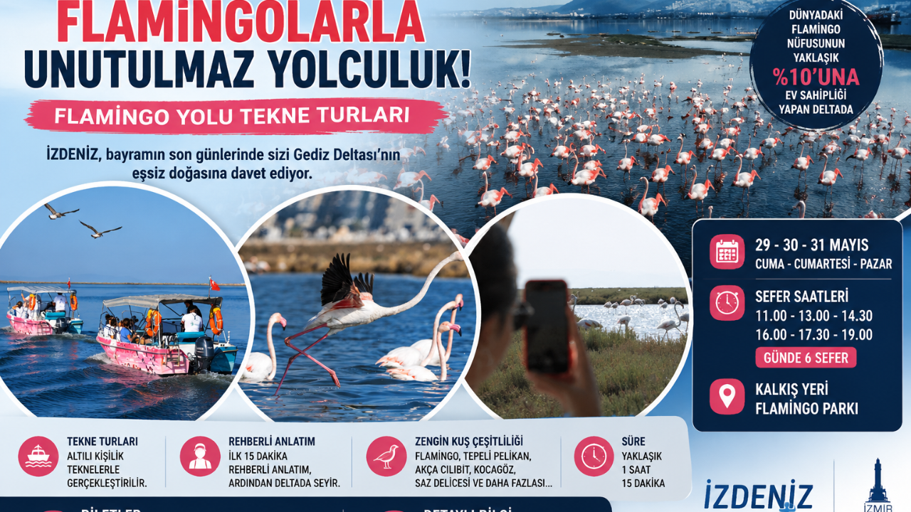 Flamingolarla Körfezde Unutulmaz Yolculuk