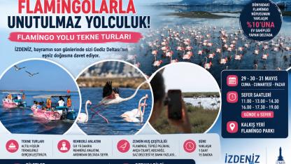 Flamingolarla Körfezde Unutulmaz Yolculuk