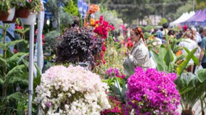 Kültürpark’ta çiçek şöleni