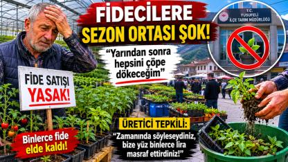 Seralarda kriz büyüyor: Fideciler zarar alarmı verdi