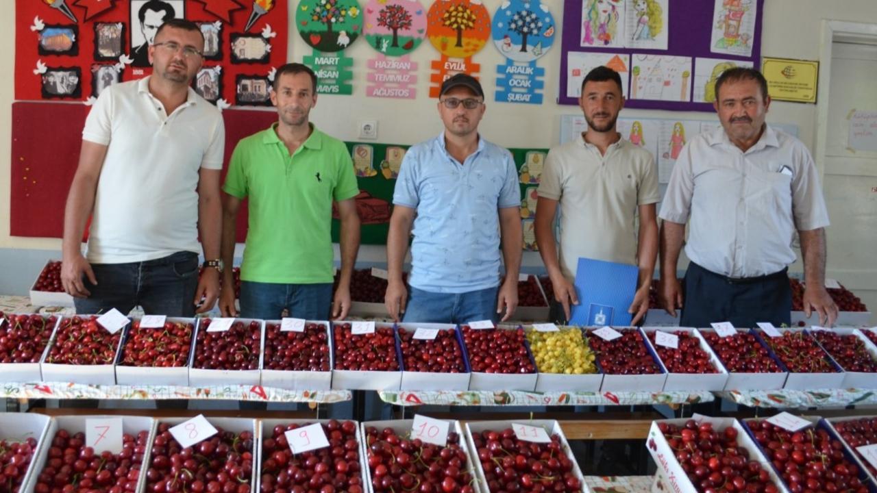 En Güzel Kirazlar Yarışacak
