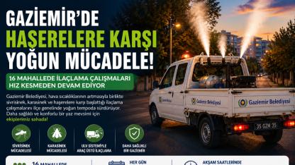 Haşerelere Karşı 16 Mahallede Seferberlik Başladı