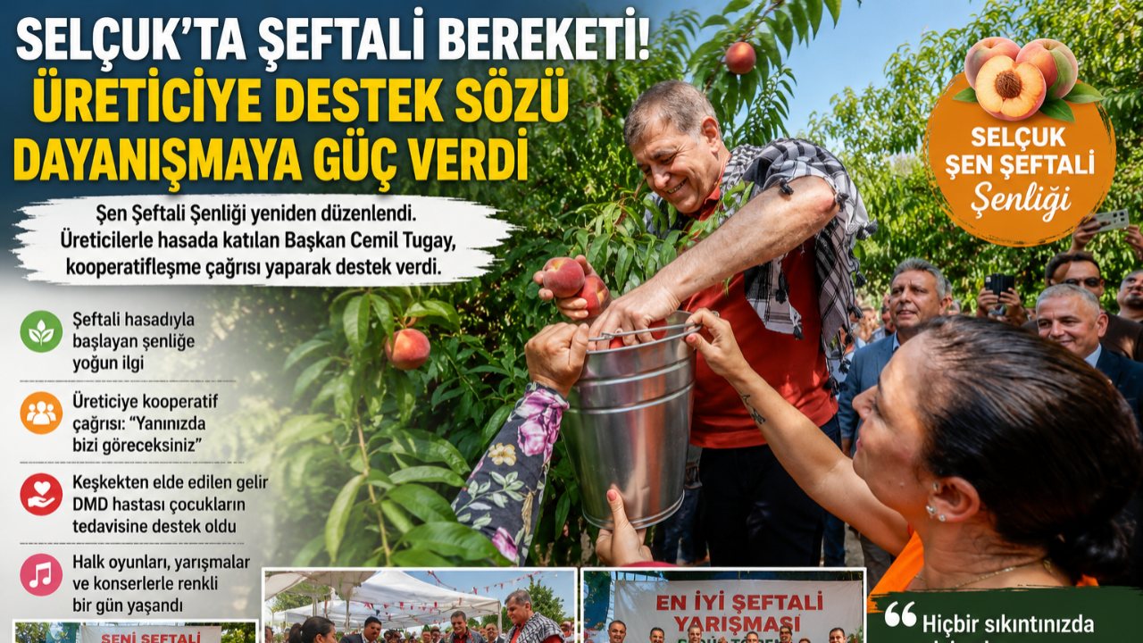 Selçuk’ta Şeftali Bereket