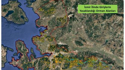 Valilik Duyurdu: 5 Ay Boyunca Bu Ormanlara Girmek Yasak