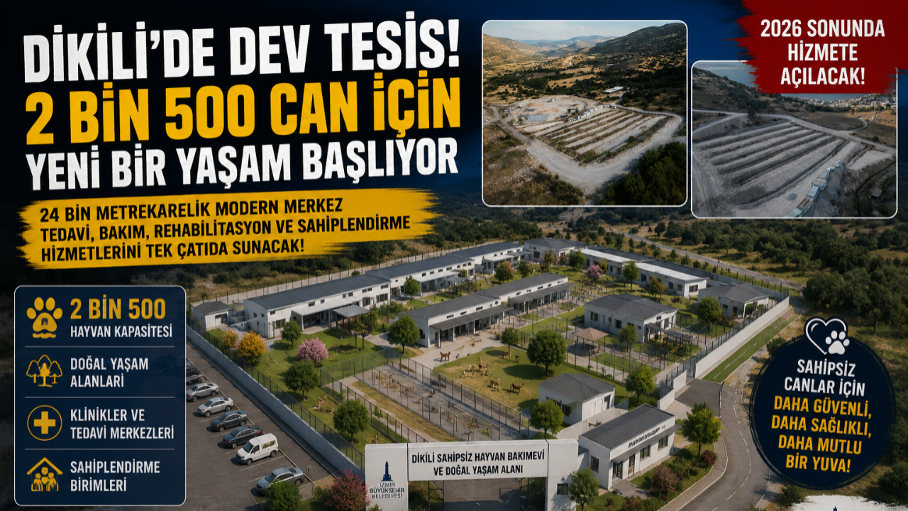 “Dikili modern bir barınağa kavuşacak”