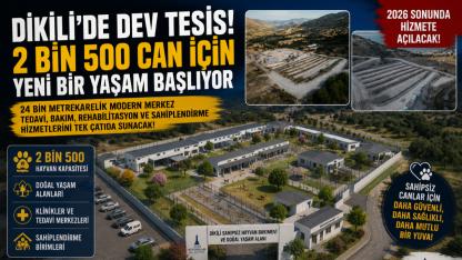 “Dikili modern bir barınağa kavuşacak”