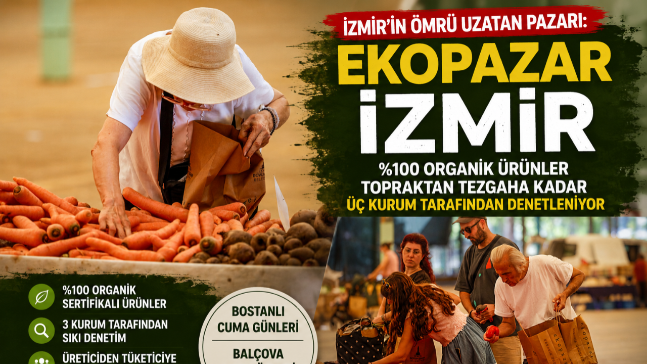 Kimyasala Hayır Diyenlerin Ortak Adresi