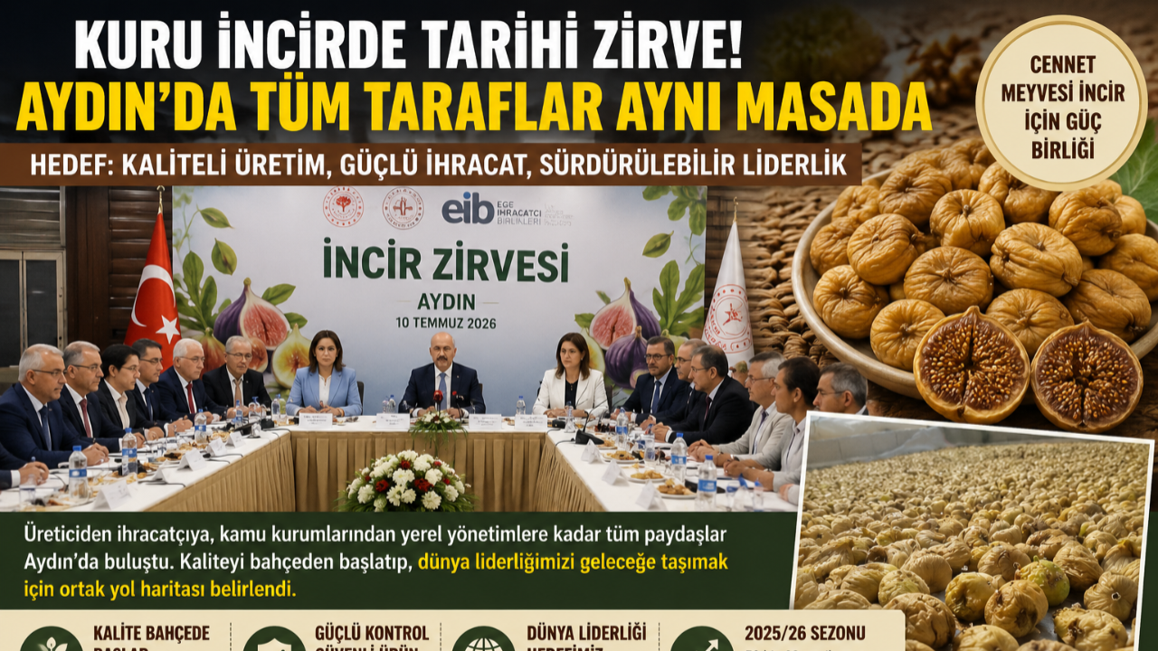 Kuru İncirde Tarihi Zirve